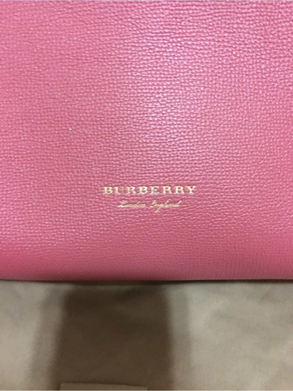 Burberry Pink Leather Hobo with Gold Logo Stamp